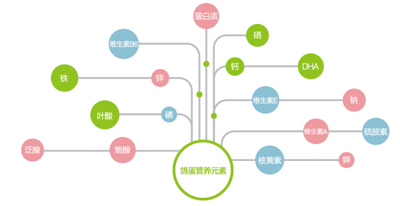 6枚装儿童版_09